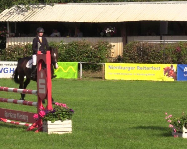 Reitturnier Nienburg 2024