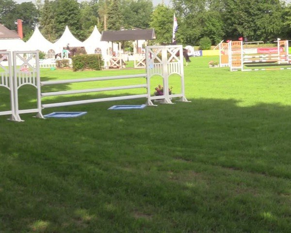 Reitturnier Nienburg 2024