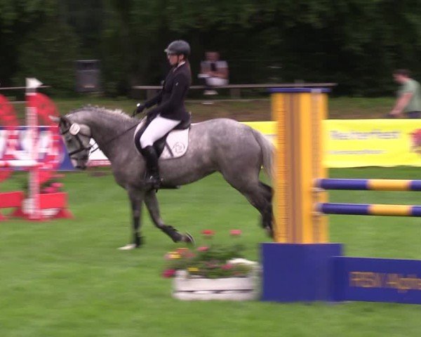 Reitturnier Nienburg 2024