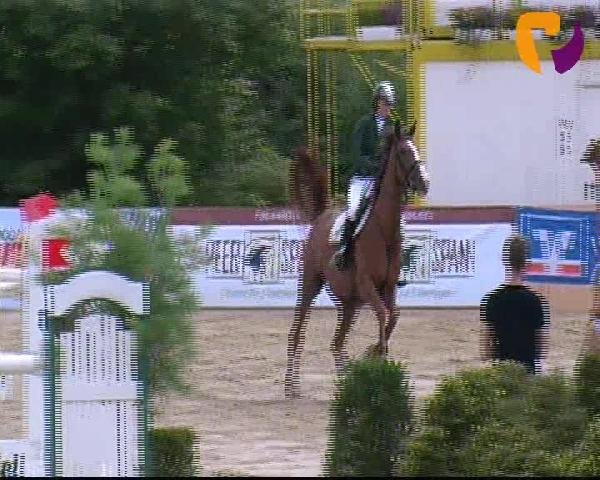 Vosswinkeler Reitertage 2012
