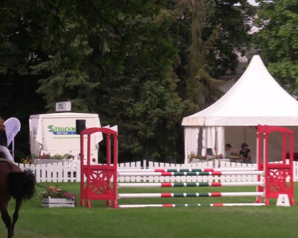 Reitturnier Nienburg 2024