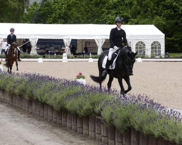Reitturnier Lindlar - Reitanlage Dückers 2024