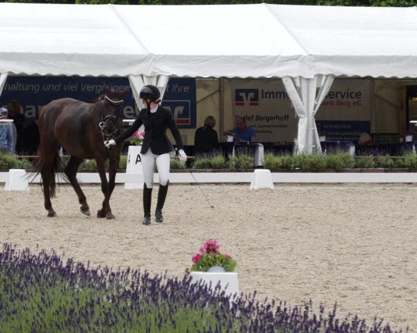 Reitturnier Lindlar - Reitanlage Dückers 2024