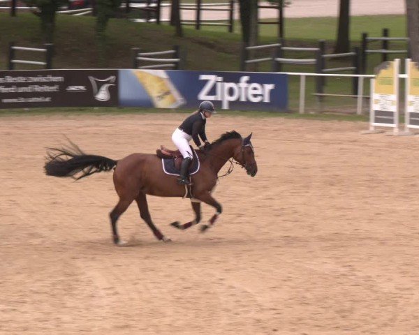 Reitturnier Stadl-Paura 2024