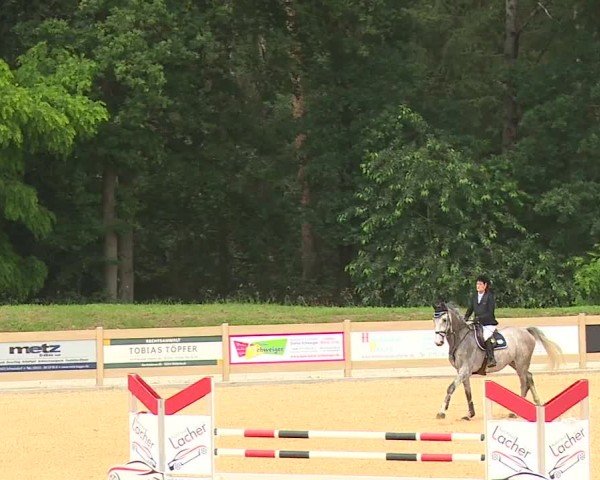 Reitturnier Tiefenhof/Opf. 2024
