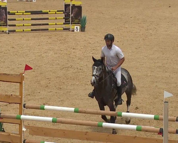 Reitturnier Tiefenhof/Opf. 2024