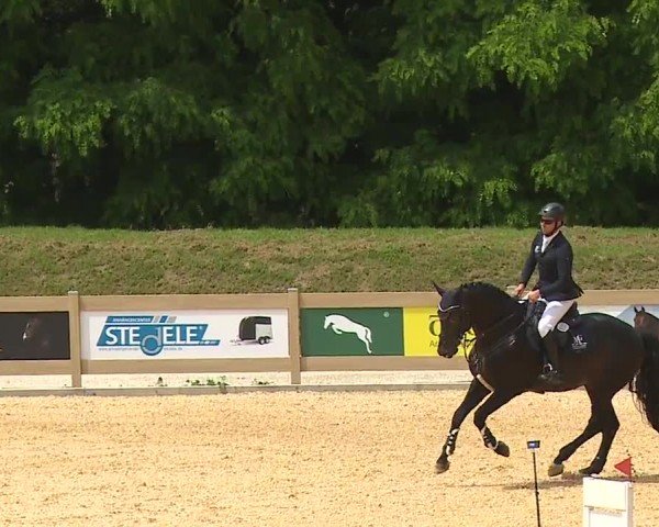 Reitturnier Tiefenhof/Opf. 2024