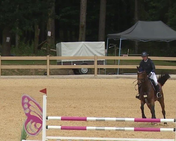 Reitturnier Tiefenhof/Opf. 2024