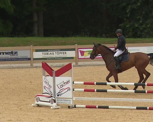 Reitturnier Tiefenhof/Opf. 2024