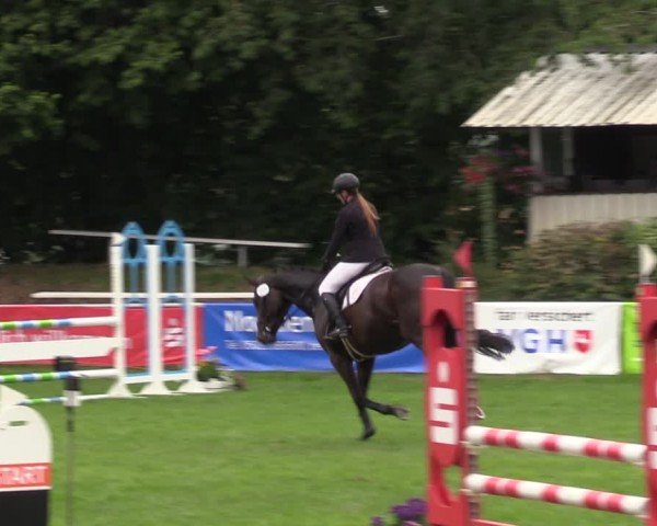 Reitturnier Nienburg 2024