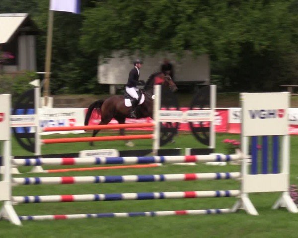 Reitturnier Nienburg 2024