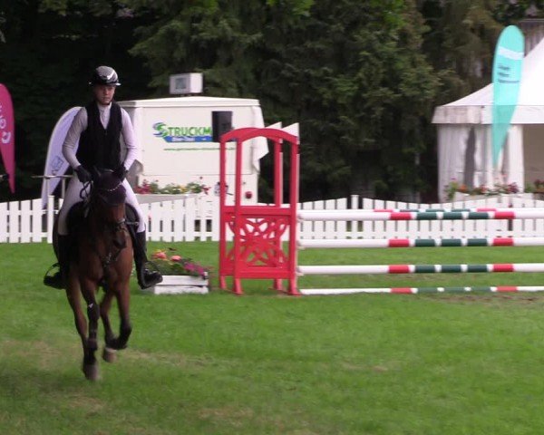 Reitturnier Nienburg 2024