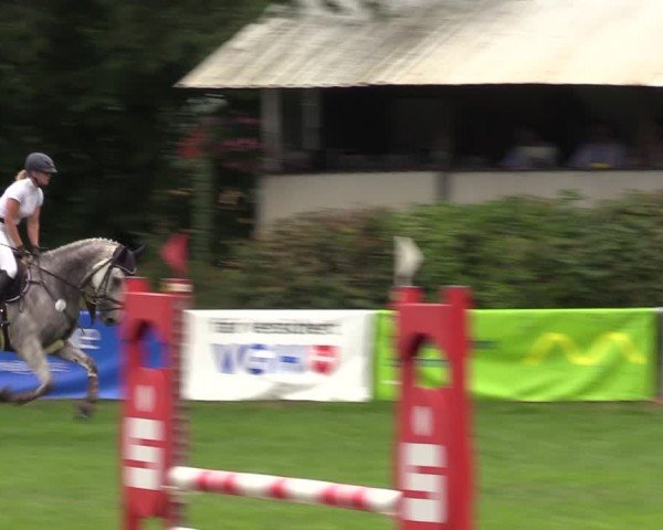 Reitturnier Nienburg 2024