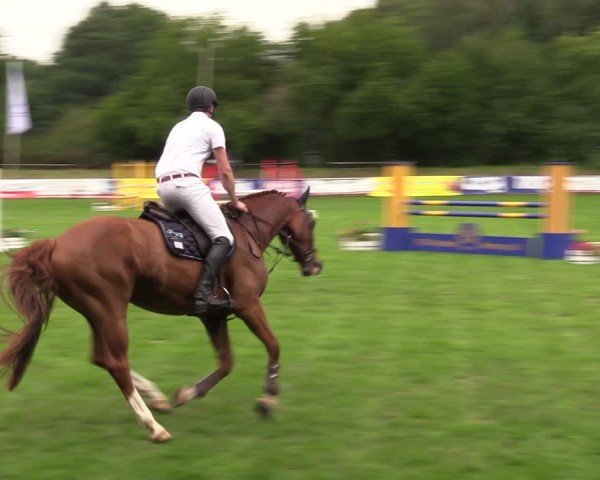 Reitturnier Nienburg 2024