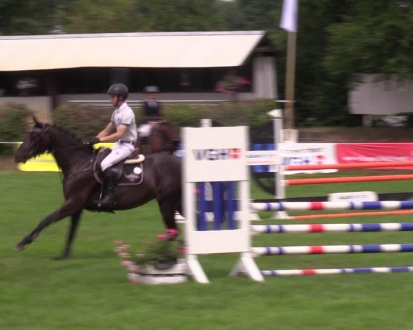 Reitturnier Nienburg 2024