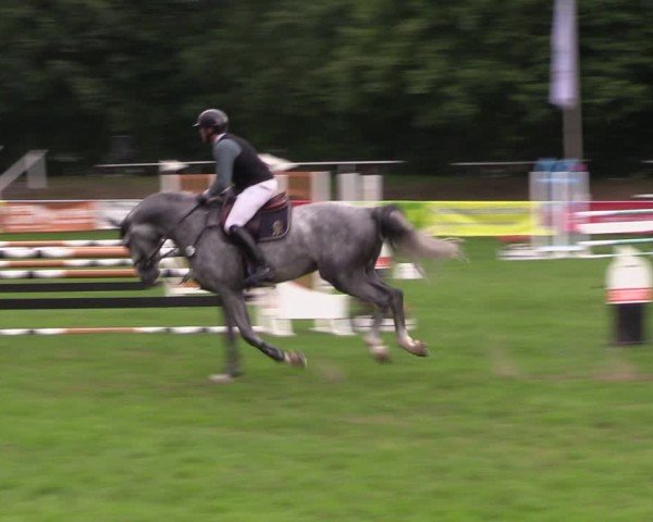 Reitturnier Nienburg 2024