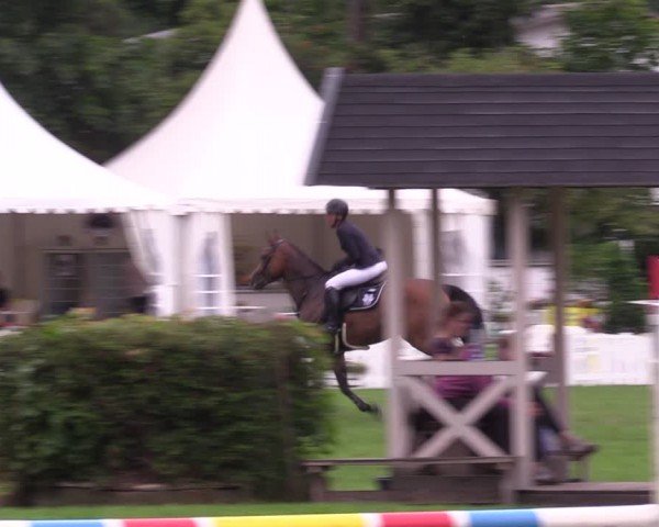 Reitturnier Nienburg 2024