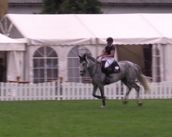 Reitturnier Nienburg 2024