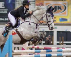 jumper Wodan Vh Gebroekerhof (Belgian Warmblood, 1999, from Pik Solo 8)