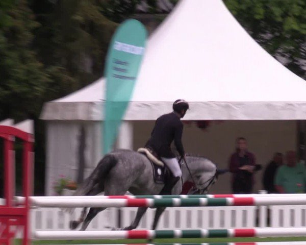 Reitturnier Nienburg 2024