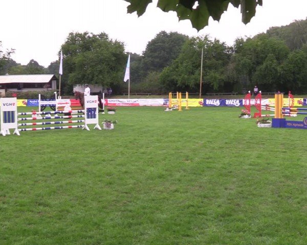 Reitturnier Nienburg 2024