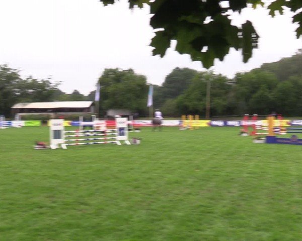 Reitturnier Nienburg 2024