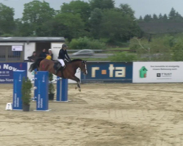 Reitturnier Wädenswil 2024