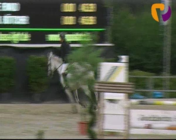 Vosswinkeler Reitertage 2012
