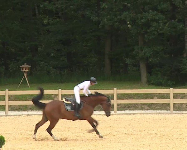Reitturnier Tiefenhof/Opf. 2024