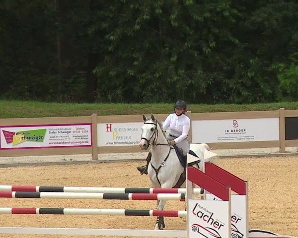 Reitturnier Tiefenhof/Opf. 2024