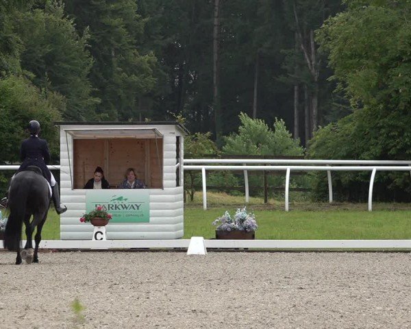 Reitturnier Grüningen 2024