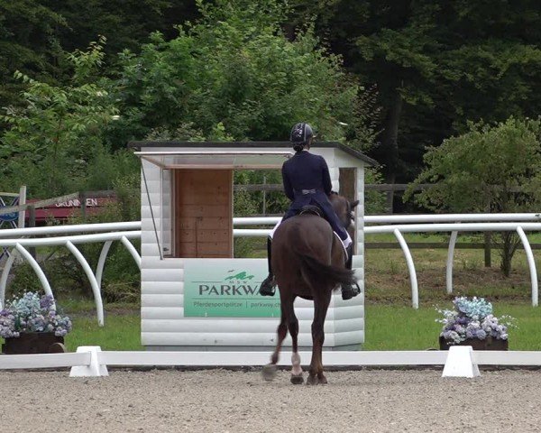 Reitturnier Grüningen 2024