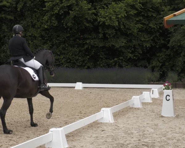 Reitturnier Lindlar - Reitanlage Dückers 2024