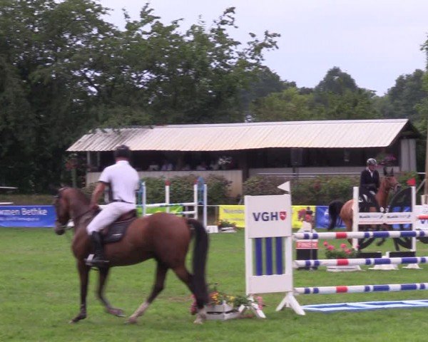 Reitturnier Nienburg 2024