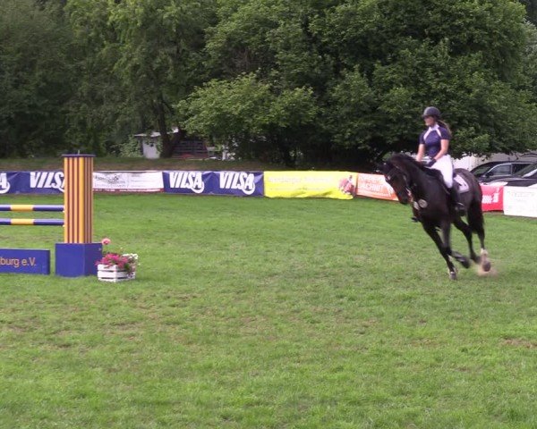 Reitturnier Nienburg 2024