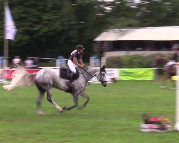 Reitturnier Nienburg 2024