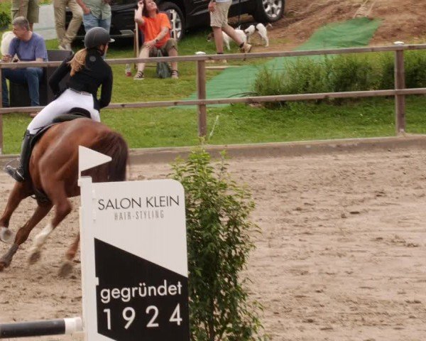 Reitturnier Waldenbuch-Hasenhof 2024