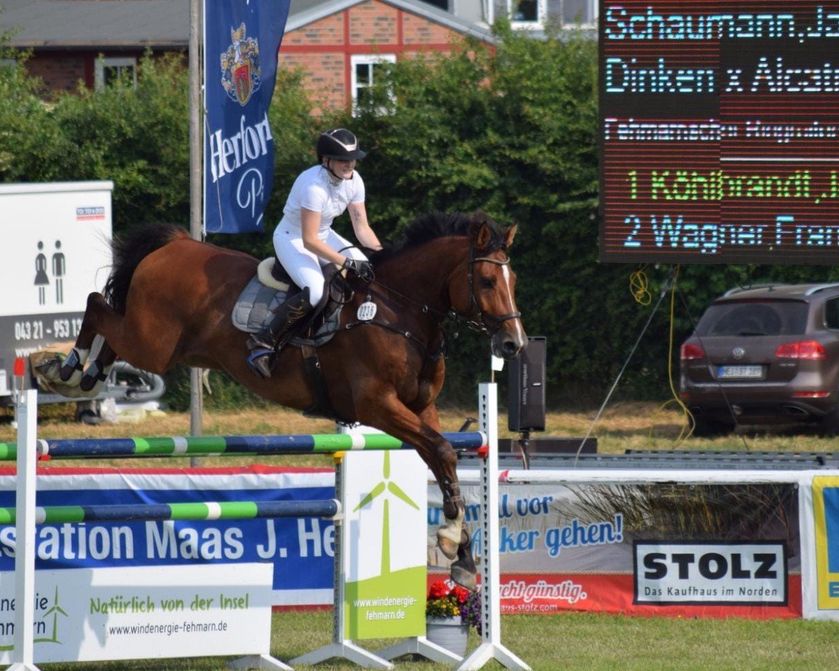 jumper Dalington Men (Holsteiner, 2015, from Dinken)