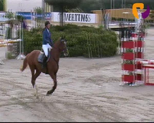 Vosswinkeler Reitertage 2012