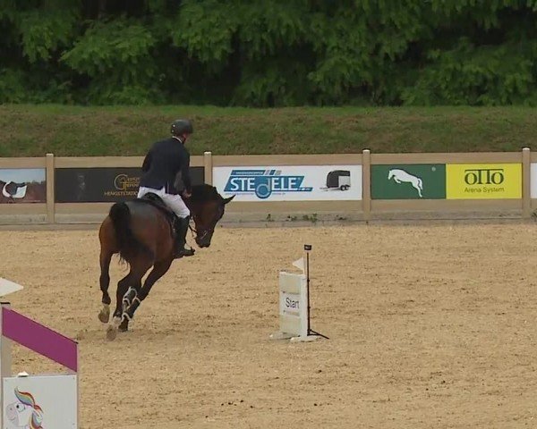 Reitturnier Tiefenhof/Opf. 2024