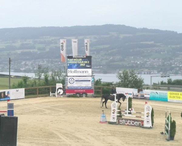 Reitturnier Wädenswil 2024