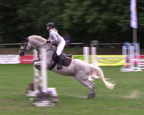 Reitturnier Nienburg 2024