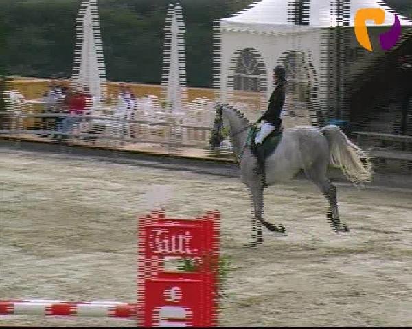 Vosswinkeler Reitertage 2012