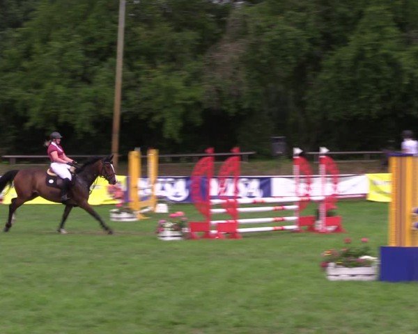 Reitturnier Nienburg 2024