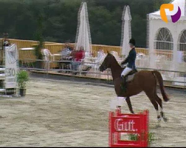 Vosswinkeler Reitertage 2012