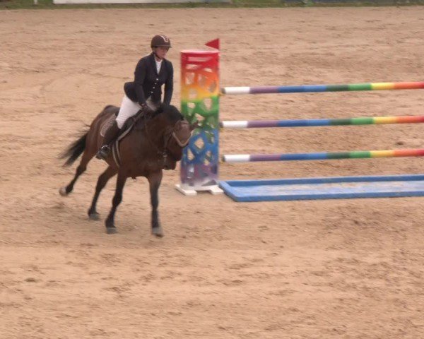 Reitturnier Stadl-Paura 2024