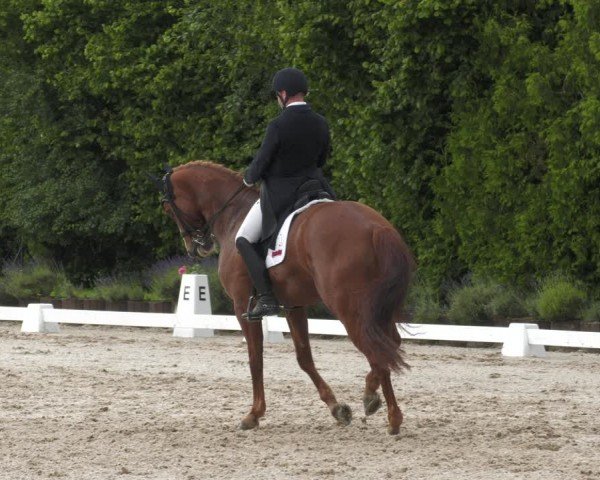 Reitturnier Lindlar - Reitanlage Dückers 2024