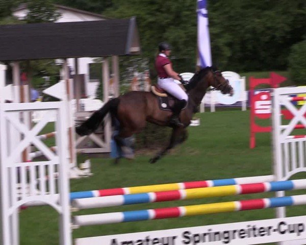 Reitturnier Nienburg 2024