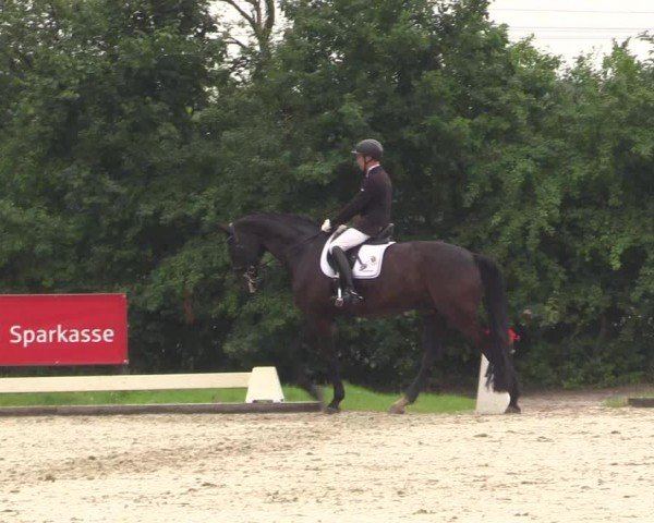 Reitturnier Münster, St. Georg | Dressurtage am Aasee 2024