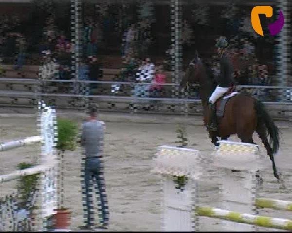 Vosswinkeler Reitertage 2012